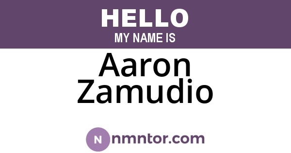 Aaron Zamudio
