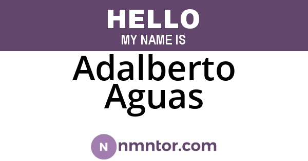 Adalberto Aguas