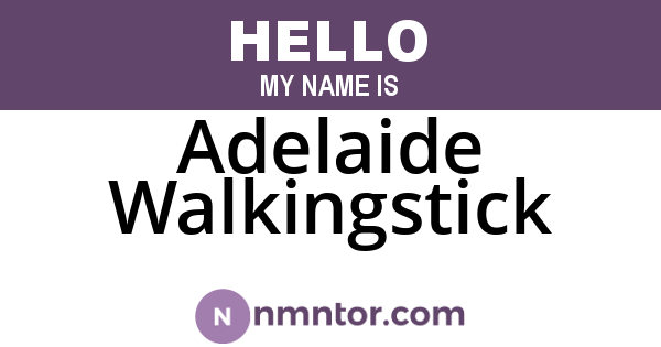 Adelaide Walkingstick