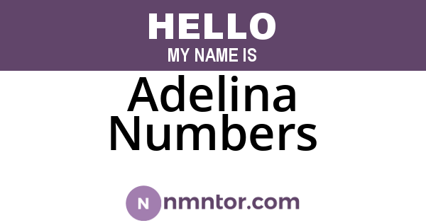Adelina Numbers