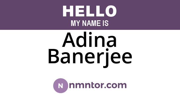 Adina Banerjee