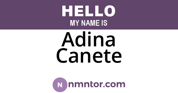 Adina Canete