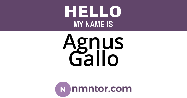 Agnus Gallo