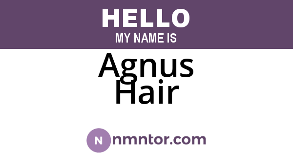 Agnus Hair
