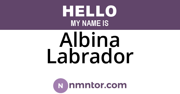Albina Labrador