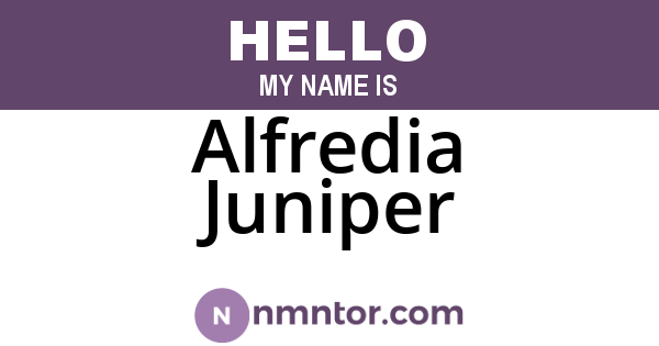 Alfredia Juniper