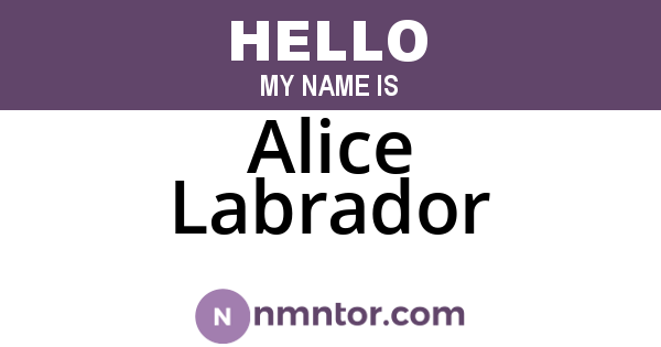 Alice Labrador