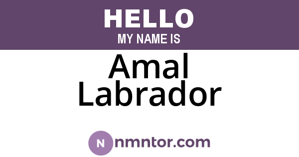Amal Labrador