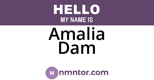 Amalia Dam