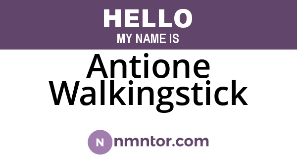 Antione Walkingstick