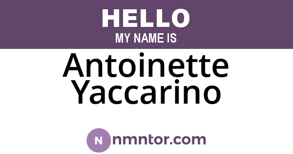 Antoinette Yaccarino