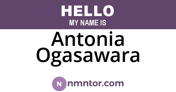 Antonia Ogasawara
