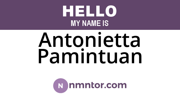 Antonietta Pamintuan