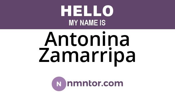 Antonina Zamarripa