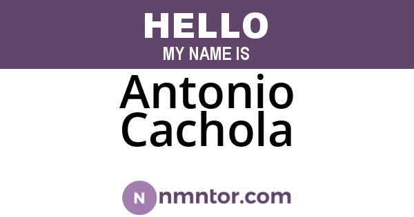 Antonio Cachola