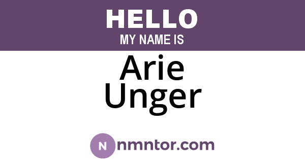 Arie Unger