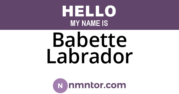 Babette Labrador