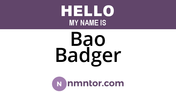 Bao Badger