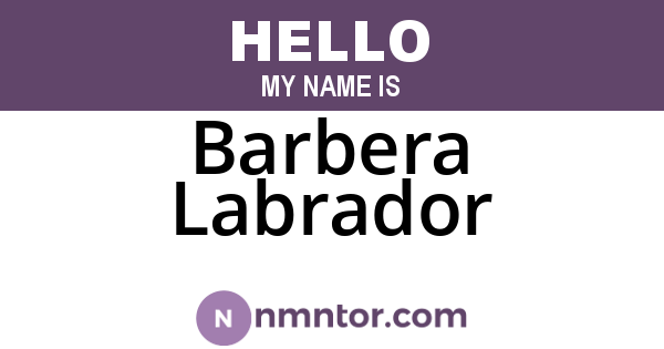 Barbera Labrador