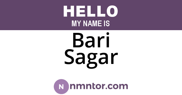 Bari Sagar