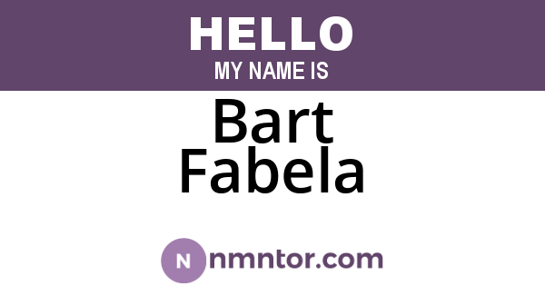 Bart Fabela