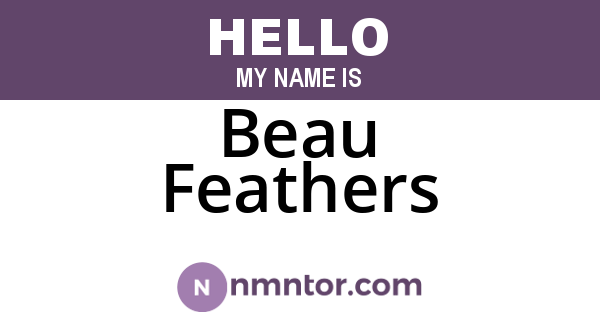 Beau Feathers