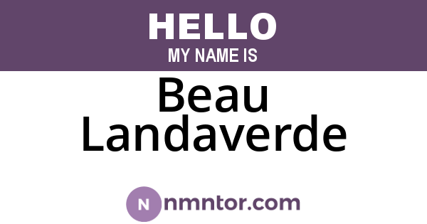 Beau Landaverde