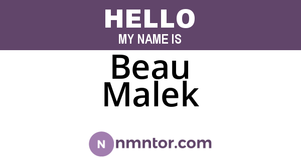Beau Malek