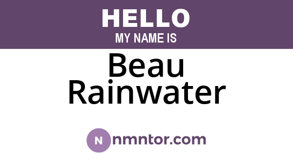 Beau Rainwater