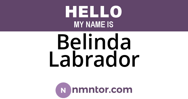 Belinda Labrador