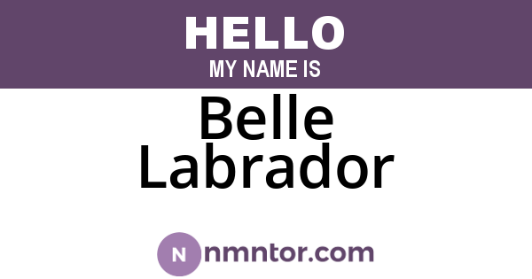Belle Labrador