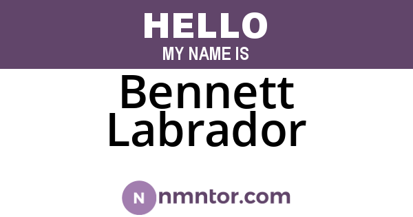 Bennett Labrador
