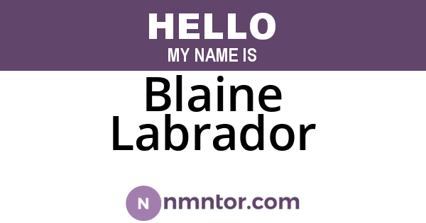 Blaine Labrador