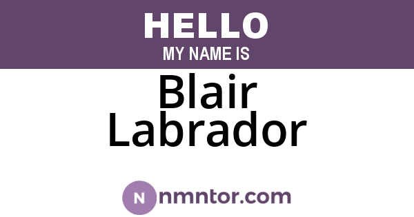 Blair Labrador