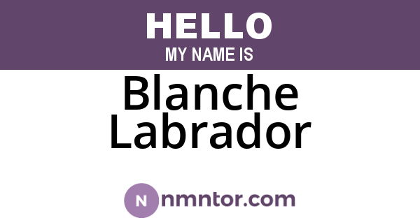 Blanche Labrador