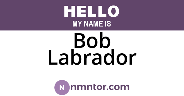Bob Labrador