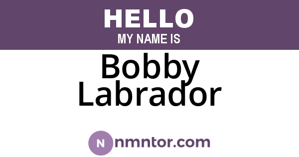Bobby Labrador