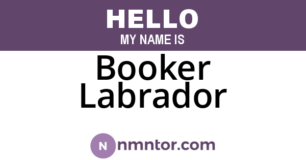 Booker Labrador