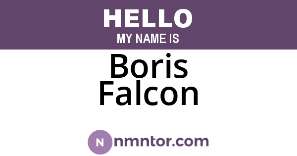 Boris Falcon