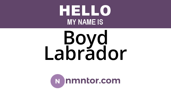 Boyd Labrador