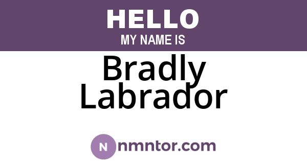 Bradly Labrador