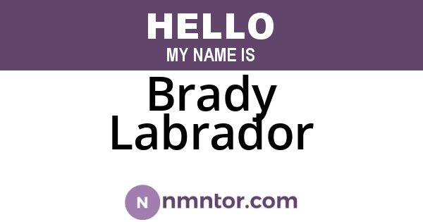 Brady Labrador