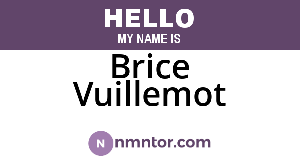 Brice Vuillemot