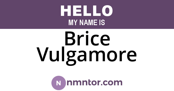 Brice Vulgamore