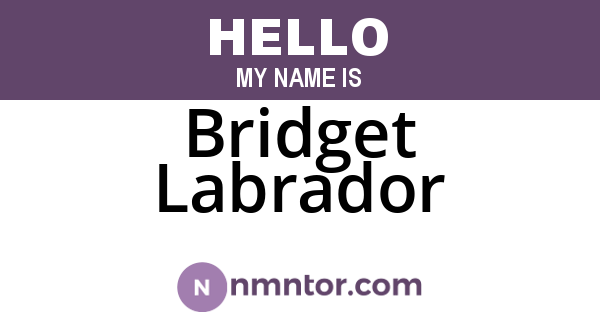 Bridget Labrador