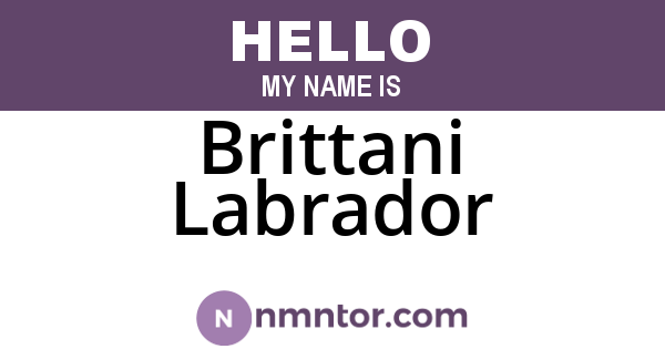 Brittani Labrador