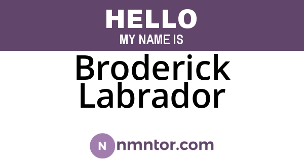 Broderick Labrador