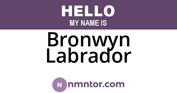 Bronwyn Labrador