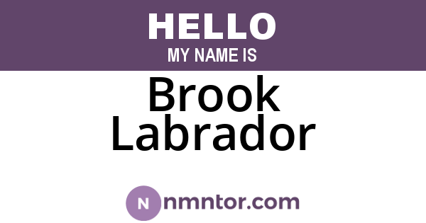 Brook Labrador