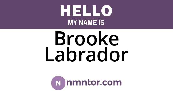 Brooke Labrador